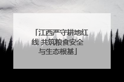 江西严守耕地红线 共筑粮食安全与生态根基