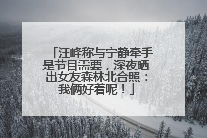 汪峰称与宁静牵手是节目需要，深夜晒出女友森林北合照：我俩好着呢！