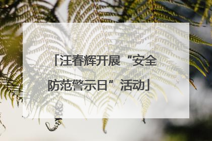 汪春辉开展“安全防范警示日”活动