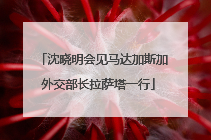 沈晓明会见马达加斯加外交部长拉萨塔一行