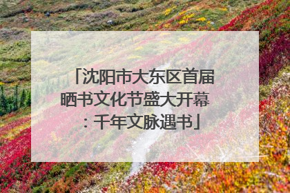 沈阳市大东区首届晒书文化节盛大开幕：千年文脉遇书