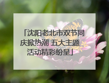 沈阳老北市双节同庆掀热潮 五大主题活动精彩纷呈