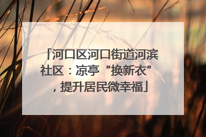 河口区河口街道河滨社区：凉亭“换新衣”，提升居民微幸福