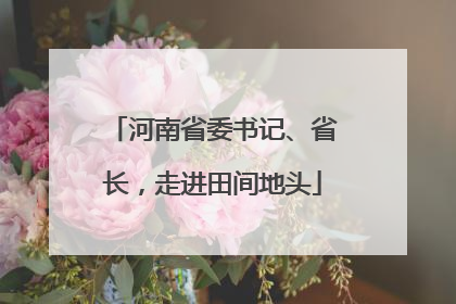 河南省委书记、省长，走进田间地头