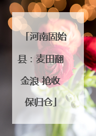 河南固始县：麦田翻金浪 抢收保归仓