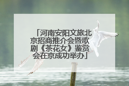 河南安阳文旅北京招商推介会暨歌剧《茶花女》鉴赏会在京成功举办