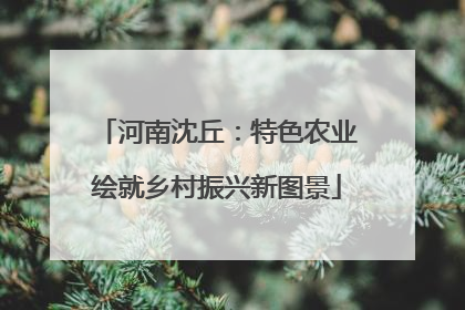 河南沈丘：特色农业绘就乡村振兴新图景