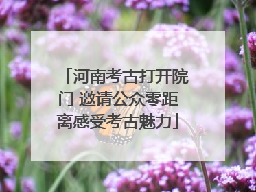 河南考古打开院门 邀请公众零距离感受考古魅力