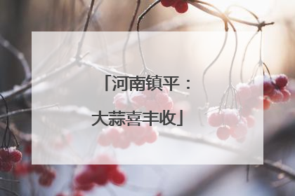 河南镇平：大蒜喜丰收