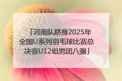 河南队跻身2025年全国U系列羽毛球比赛总决赛U12组男团八强