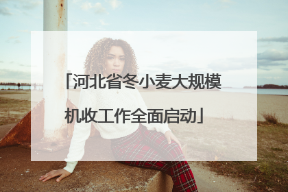 河北省冬小麦大规模机收工作全面启动