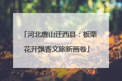 河北唐山迁西县：板栗花开飘香文旅新画卷
