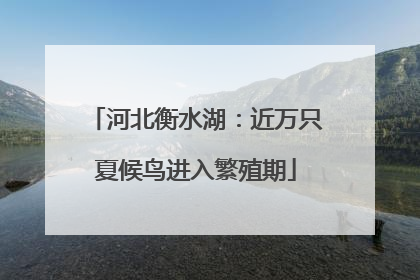 河北衡水湖：近万只夏候鸟进入繁殖期