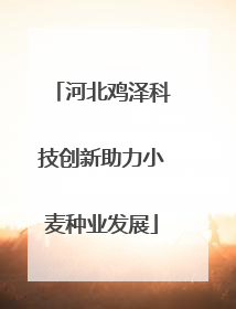 河北鸡泽科技创新助力小麦种业发展