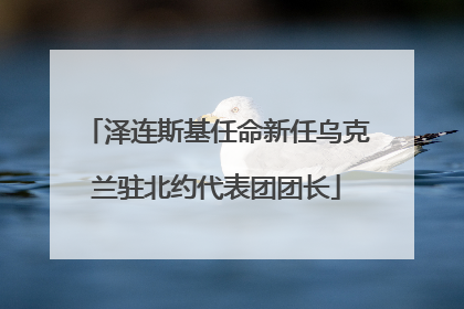 泽连斯基任命新任乌克兰驻北约代表团团长