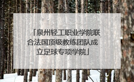 泉州轻工职业学院联合法国顶级教练团队成立足球专项学院