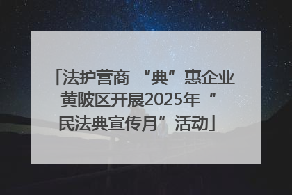法护营商 “典”惠企业 黄陂区开展2025年“民法典宣传月”活动