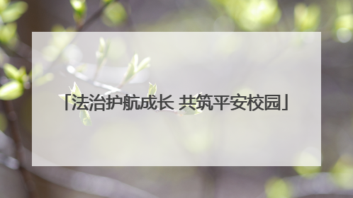 法治护航成长 共筑平安校园