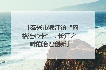 泰兴市滨江镇“网格连心卡”：长江之畔的治理创新