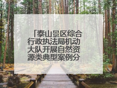 泰山景区综合行政执法局机动大队开展自然资源类典型案例分析交流活动