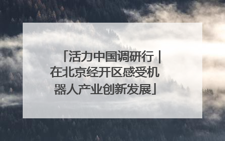 活力中国调研行｜在北京经开区感受机器人产业创新发展