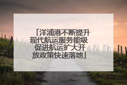 洋浦港不断提升现代航运服务能级 促进航运扩大开放政策快速落地