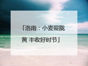 洛南：小麦覆陇黄 丰收好时节
