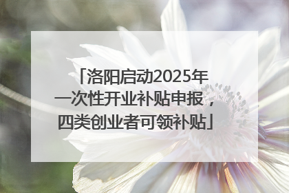 洛阳启动2025年一次性开业补贴申报，四类创业者可领补贴