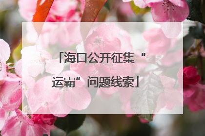海口公开征集“运霸”问题线索