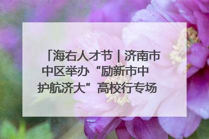 海右人才节｜济南市中区举办“励新市中 护航济大”高校行专场活动暨“青年人才 乐享市中”品牌推介会