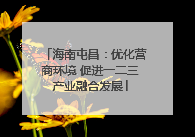 海南屯昌：优化营商环境 促进一二三产业融合发展