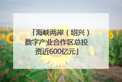 海峡两岸（绍兴）数字产业合作区总投资近600亿元