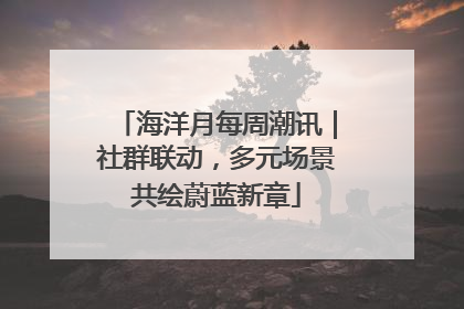 海洋月每周潮讯｜社群联动，多元场景共绘蔚蓝新章