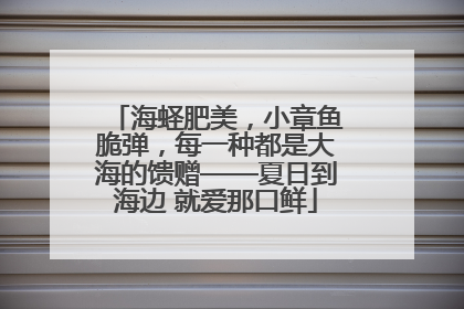 海蛏肥美，小章鱼脆弹，每一种都是大海的馈赠——夏日到海边 就爱那口鲜