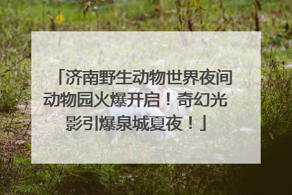 济南野生动物世界夜间动物园火爆开启！奇幻光影引爆泉城夏夜！
