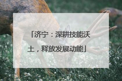 济宁：深耕技能沃土，释放发展动能