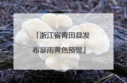浙江省青田县发布暴雨黄色预警