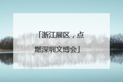 浙江展区，点燃深圳文博会