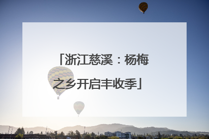 浙江慈溪：杨梅之乡开启丰收季