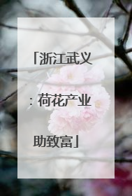 浙江武义：荷花产业助致富