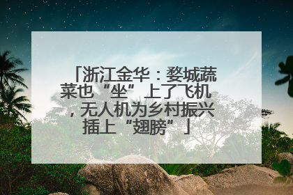 浙江金华：婺城蔬菜也“坐”上了飞机，无人机为乡村振兴插上“翅膀”