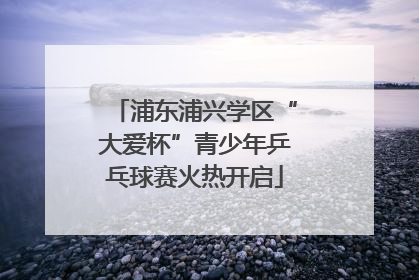 浦东浦兴学区“大爱杯”青少年乒乓球赛火热开启