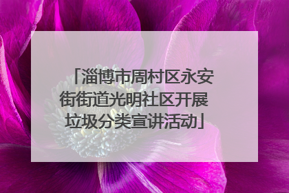 淄博市周村区永安街街道光明社区开展垃圾分类宣讲活动