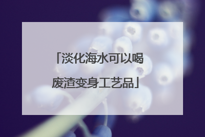淡化海水可以喝 废渣变身工艺品