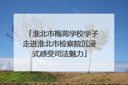 淮北市梅苑学校学子走进淮北市检察院沉浸式感受司法魅力