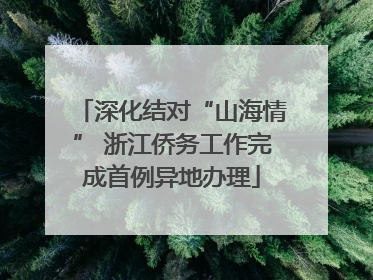 深化结对“山海情” 浙江侨务工作完成首例异地办理