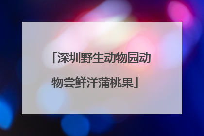 深圳野生动物园动物尝鲜洋蒲桃果