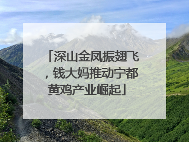 深山金凤振翅飞，钱大妈推动宁都黄鸡产业崛起