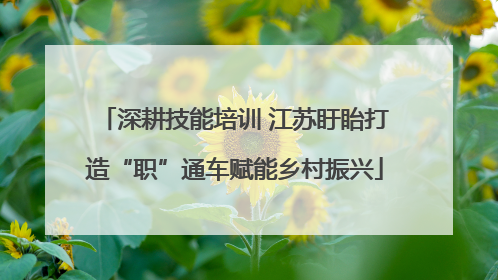深耕技能培训 江苏盱眙打造“职”通车赋能乡村振兴