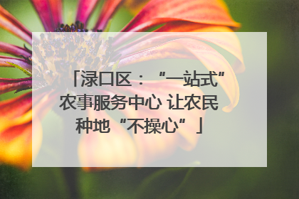 渌口区：“一站式”农事服务中心 让农民种地“不操心”